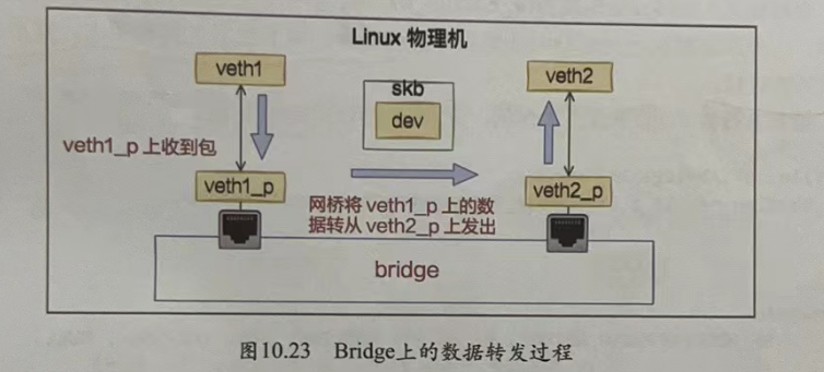 image-20230904222822156