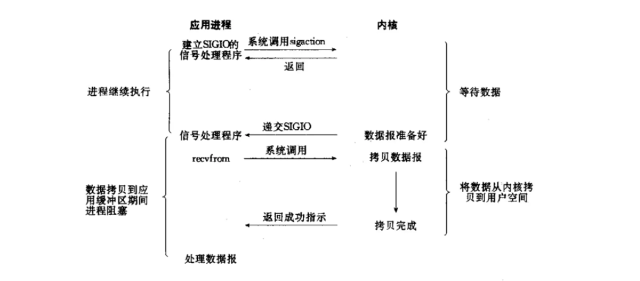 image-20250223214704526