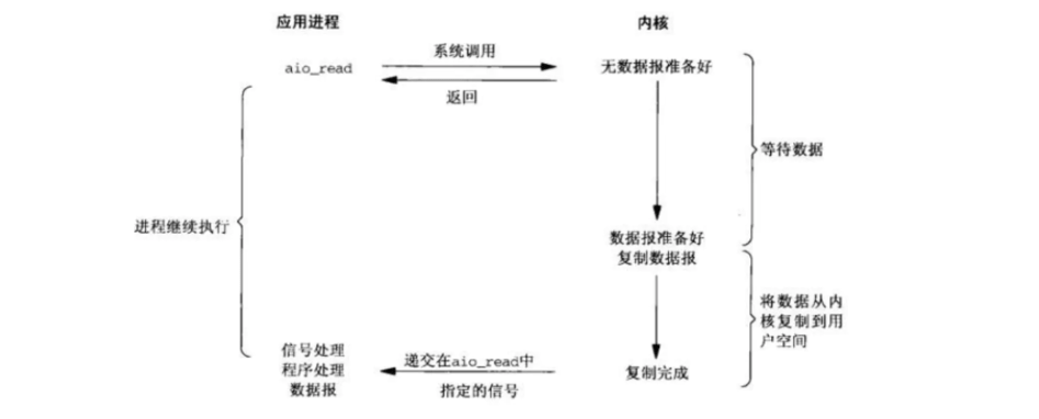 image-20250223215211027